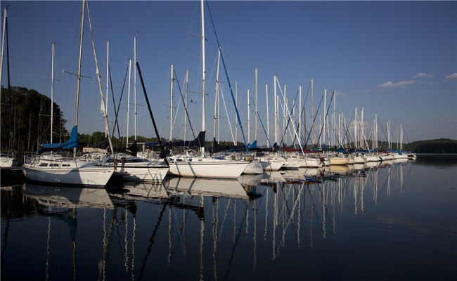 Boats at the Marina