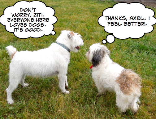 Dating with other Pets